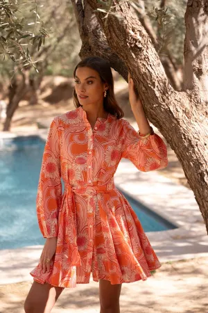Sonia Skater Dress in Orange Blossom printed cotton